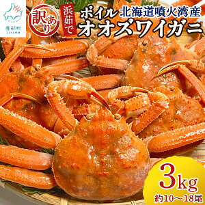 yӂ邳Ɣ[Łz kCY 󂠂 {CIIYCKj 3kg 10`18 l䥂 䥂 Y҉ kCΘpY CN  I 킢I Jj JjG Jju 