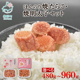 【ふるさと納税】 【選べる内容量】 たらこ 明太子 ほんのり焼たらこ ほんのり焼明太子 480g～960g 北海道 辛子明太子 焼きたらこ 焼き明太子 魚卵 魚介 魚介類 冷凍 小分け 一口サイズ おにぎり お弁当 送料無料 丸鮮道場水産 北のハイグレード食品 セット