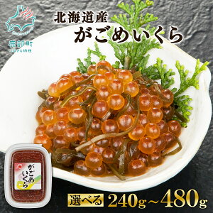 yӂ邳Ɣ[Łz yIׂeʁz  kCY ߂ 240g`480g z kC CN  CY CN  ۑN ꐅY ͂̂ ͂ ܂ 