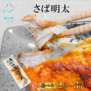 yӂ邳Ɣ[Łz yIׂeʁz  Ζ 2`3 Ă т̂ sh    Ⓚ  ۑNꐅY