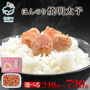 yӂ邳Ɣ[Łz yIׂeʁz q ق̂Ėq 240g`720g kC hqq q Ă炱 Ăq    Ⓚ  TCY ɂ ٓ 
