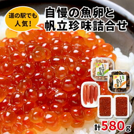 【ふるさと納税】いくら ほたて たらこ 計580g 北海道 小分け 食べきり 丸鮮道場水産 しかべ道の駅 人気 自慢の魚卵と帆立珍味詰合せ 醤油漬け 甘露煮 数の子 わさび おつまみ ごはんのお供 送料無料