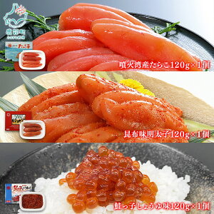 yӂ邳Ɣ[Łz 炱 q ؎q Zbg v360g`720g kC 炱 hqq z zq H  ؎q т̂ Hא؂     Ⓚ Iׂe 
