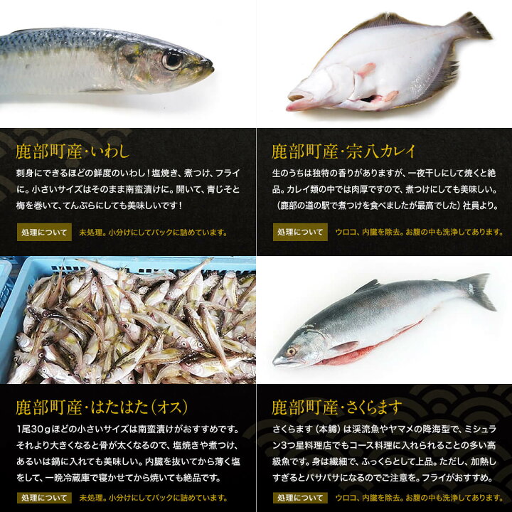 楽天市場 ふるさと納税 ふるさと納税 訳あり 鮮魚セット 4 4 5kg 漁師応援プロジェクト 魚介類 わけあり 冷凍 コロナ対策 海鮮 海産 詰め合わせ 魚 北海道鹿部町