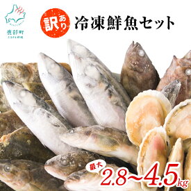 【ふるさと納税】 【発送時期が選べる】 訳あり 冷凍 鮮魚 S〜Lサイズ 最大2.8kg〜4.5kg 規格外 不揃い 大容量 北海道産 ほたて さば ほっけ いか 漁師 応援 鮮魚ボックス 詰め合わせ 人気 リピーター 下処理済み 塩焼き 焼魚 煮魚 唐揚げ フライ 事業者支援 送料無料