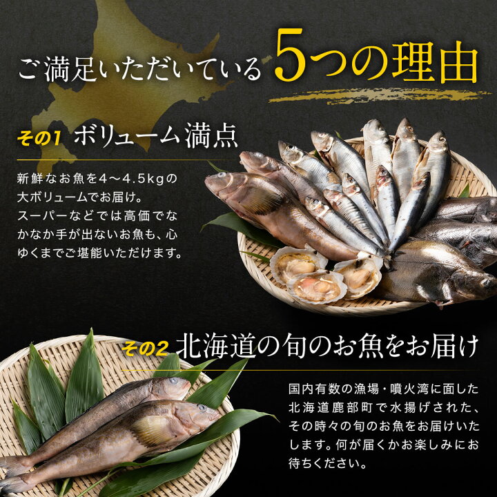 楽天市場 ふるさと納税 訳あり 魚 鮮魚セット 4 4 5kg 漁師応援プロジェクト 魚介類 わけあり 冷凍 コロナ 海鮮 海産 詰め合わせ 送料無料 北海道 ランキング お楽しみ 北海道鹿部町