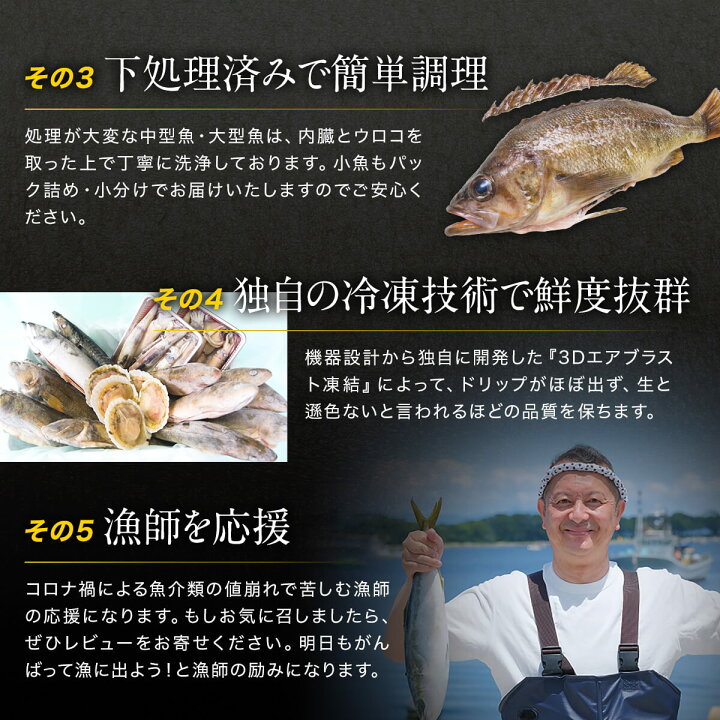楽天市場 ふるさと納税 訳あり 魚 鮮魚セット 4 4 5kg 漁師応援プロジェクト 魚介類 わけあり 冷凍 コロナ 海鮮 海産 詰め合わせ 送料無料 北海道 ランキング お楽しみ 北海道鹿部町 楽天市場 ふるさと納税 訳あり 魚 鮮魚セット 4 4 5kg 漁師応援プロジェクト 魚介類 わけあり 冷凍 コロナ 海鮮 海産 詰め合わせ 送料無料 北海道 ランキング お楽しみ 北海道鹿部町