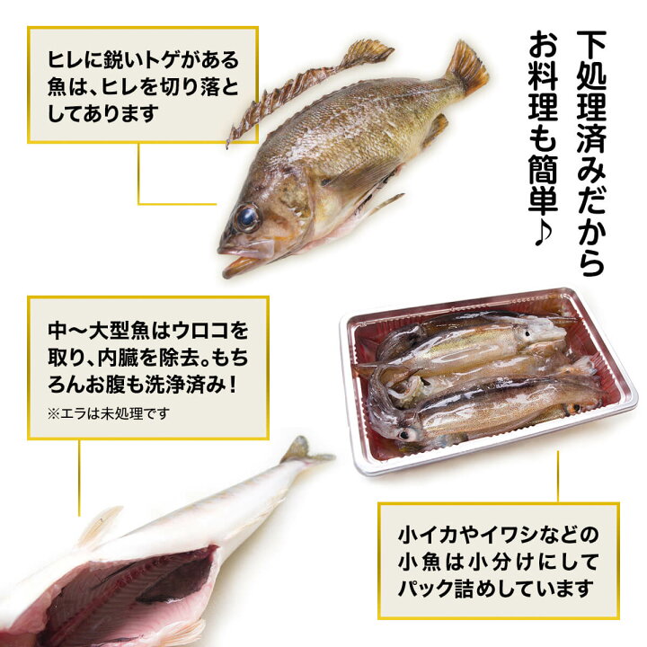 楽天市場 ふるさと納税 訳あり 魚 鮮魚セット 4 4 5kg 漁師応援プロジェクト 魚介類 わけあり 冷凍 コロナ 海鮮 海産 詰め合わせ 送料無料 北海道 ランキング お楽しみ 北海道鹿部町