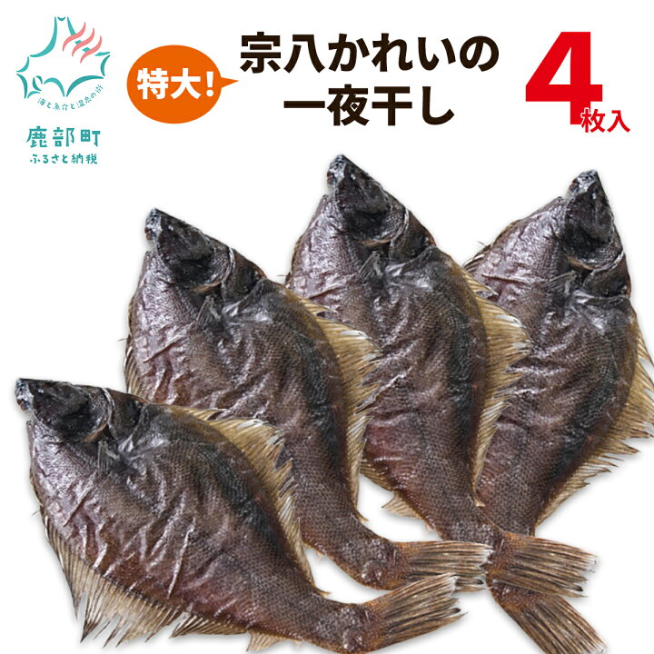 楽天市場 ふるさと納税 カレイ 一夜干し 北海道 宗八カレイ 4枚入り 冷凍 魚 送料無料 北海道鹿部町