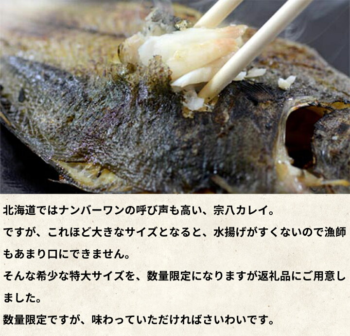 ふるさと納税 北海道 カレイ 宗八 5枚 宗八ガレイ 産 一夜干し