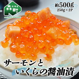 【ふるさと納税】サーモンといくらの醤油漬 約500g(250g×2パック)＜ワイエスフーズ＞ いくら醤油漬け 海鮮丼 サケ さけ 鮭 イクラ しょうゆ漬け 海産物 森町 北海道 おかず ご飯のお供 mr1-0425