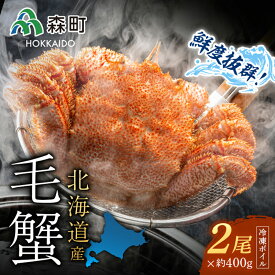 【ふるさと納税】北海道産 冷凍ボイル毛ガニ 400g前後×2尾＜海鮮問屋　株式会社　瑞宝＞ かに カニ 蟹 ガニ がに 森町 ふるさと納税 北海道 毛蟹 mr1-0947