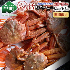 【ふるさと納税】【訳あり】北海道噴火湾産 活オオズワイガニ1.5～3kg＜道産ネットミツハシ＞ 生産者応援 かに 蟹 ずわい蟹 北海道産 鍋 かにすき かにしゃぶ 海鮮 わけあり ご自宅用 mr1-0352