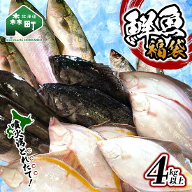 【ふるさと納税】北海道森町産 噴火湾とれたて鮮魚福袋4kg以上 アブラコ（アイナメ） カレイ類 カジカ ソイ ガヤ ニシン ハタハタ フクラゲ サヨリ 鮮魚 海鮮 焼き魚 煮付け 鍋 北海道 森町 mr1-0149
