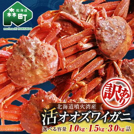 【ふるさと納税】【選べる容量・配送月】【先行予約】【訳あり】北海道噴火湾産 活オオズワイガニ 1～1.5kg 10000円 12000円 ＜道産ネットミツハシ＞ 配送時期が選べる 生産者応援 かに カニ 蟹 ずわい蟹 北海道産 鍋 かにすき かにしゃぶ 海鮮 わけあり ご自宅用 mr1-0352