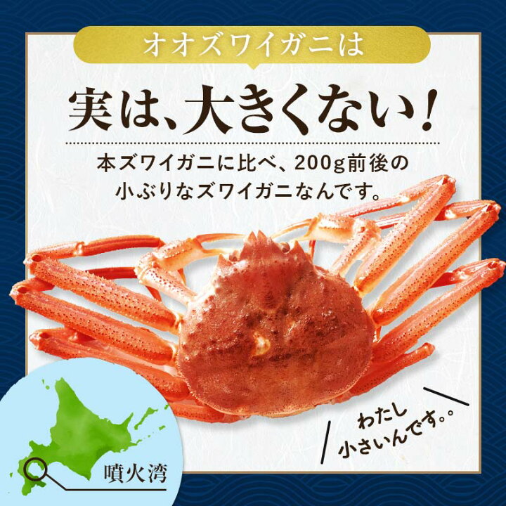 楽天市場】【ふるさと納税】【選べる容量・配送月】【訳あり】北海道 