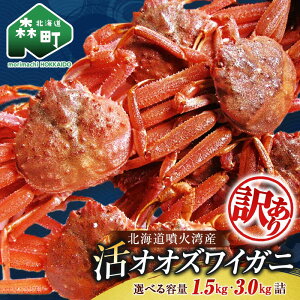yӂ邳Ɣ[ŁzyIׂeʁEzzy󂠂zkCΘpY IIYCKj 1.5`3kg 10000~ 12000~ Ylbg~cnV zIׂ Y҉  Jj I 킢I k
