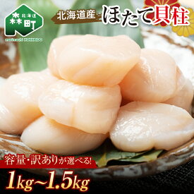 【ふるさと納税】北海道産 訳あり ほたて 500gずつの小分け 冷凍ホタテ貝柱 1kg ～ 1.5kg 小分け チャック付き ＜ワイエスフーズ＞ 海鮮丼 森町 魚貝類 帆立 ホタテ ほたて 魚介類 貝 北海道 訳あり mr1-0449