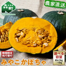 【ふるさと納税】 【選べる容量】 【先行予約】みやこかぼちゃ約4.5kg 約10kg 北海道森町産 （令和7年7月下旬～8月上旬順次配送） ≪こうのファーム≫ カボチャ 南瓜 野菜 根菜 煮物 食材 スープ サラダ かぼちゃプリン 天ぷら 北海道 森町 ふるさと納税 mr1-0460