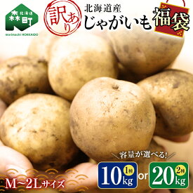 【ふるさと納税】＜発送時期／容量が選べる＞【訳あり】北海道森町産 じゃがいも福袋 10kg or 20kg 【順次発送】2025年11月～12月発送 【先行予約】2026年8月上旬から順次発送 野菜 ジャガイモ きたあかり だんしゃく 男爵 とうや メークイン ポテト 北海道 mr1-0508