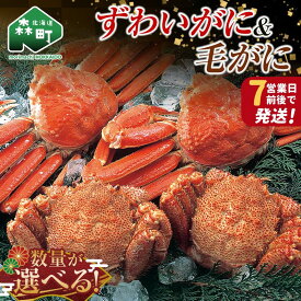 【ふるさと納税】≪年末発送受付中≫ ずわいがに毛がに2尾～4尾 ＼容量が選べる／ かに カニ 蟹 ガニ 森町 北海道 毛蟹 毛かに 毛ガニ 毛カニ 北海道 ズワイカニ ズワイ蟹 ズワイガニ 食べ比べ　二大蟹 二大ガニ 二大がに 年内発送 9月発送 mr1-1081var