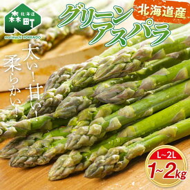 【ふるさと納税】【先行予約】【選べる容量】北海道森町産 グリーンアスパラL～2Lサイズ1～2kg （2026年4月下旬頃～7月上旬頃順次発送） ＜道産ネットミツハシ＞ 北海道産 アスパラガス アスパラ 野菜 旬 産地直送 ふるさと納税 北海道 mr1-0809