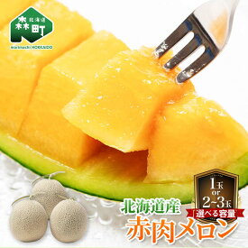 【ふるさと納税】【先行予約】【選べる容量】北海道森町産赤肉メロン1.6～4kg前後 （2026年6月上旬～8月上旬頃に順次お届け） ＜道産ネットミツハシ＞ 10000円 森町 メロン レッドメロン 果物 赤肉 北海道産 ふるさと納税 北海道 mr1-0813
