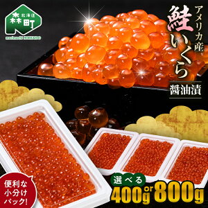 yӂ邳Ɣ[Łz_930܂Ō񕍊z^    400gi100g×4pbNj AJY 񕍋z CN≮@Ё@ ݖЂ  CY CN 