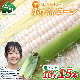 【ふるさと納税】【先行予約】【選べる容量】 10本・15本 白い とうもろこし ホワイトコーン L～2L 北海道森町産（2026年7月下旬～9月中旬までに順次お届け） 北海道産 森町産 トウモロコシ とうきび トウキビ 唐黍 野菜 やさい たっぷり 甘い 朝もぎ 期間限定 mr1-0874