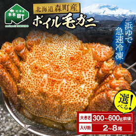 【ふるさと納税】年内発送！【選べる容量！発送月】【訳あり】毛ガニ 冷凍 ボイル 北海道・噴火湾産 約300g～600g前後 新物 2025年6月～7月水揚げ ＜海鮮問屋　株式会社　瑞宝＞ かに カニ 蟹 がに 森町 北海道 毛蟹 毛がに 毛かに 毛カニ 年内配送 年内 mr1-0994var
