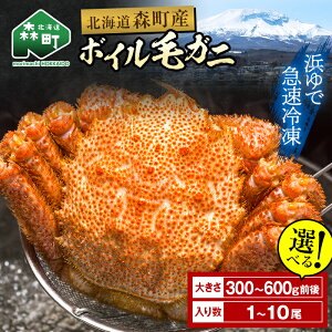 �y�ӂ邳�Ɣ[�Łz�N�������I�y�I�ׂ�e�ʁI�������z�y�󂠂�z�уK�j �Ⓚ �{�C�� �k�C���E���Θp�Y ��300g�`600g�O�� �V�� 2025�N6���`7�����g�� ���C�N�≮�@������Ё@���� ���� �J�j �I 