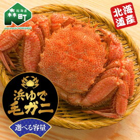 【ふるさと納税】選べる容量 【北海道産】 浜ゆで毛ガニ 570g~1kg前後 かに カニ 蟹 ガニ がに 森町 ふるさと納税 北海道 毛蟹 毛かに 毛ガニ 毛カニ mr1-1061var