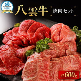 【ふるさと納税】【北海道情報雑誌で紹介！】八雲牛 焼肉セット 総重量600g 【牛肉 肉 北海道 八雲町】