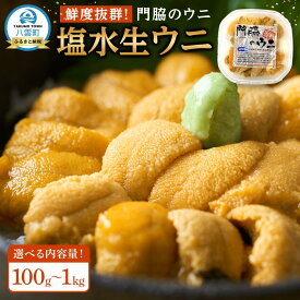 【ふるさと納税】【容量選択可能】鮮度抜群！「門脇のウニ」北海道産 塩水生ウニ 100g入り　1～10パック (2025年5月中旬発送開始予定)【 キタムラサキウニ ウニ ミョウバン不使用 うに 雲丹 魚介類 水産 食品 人気 おすすめ 】