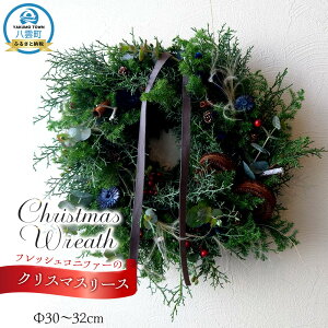 yӂ邳Ɣ[ŁztbVRjt@[̃NX}X[X | NX}X[X [X t[ A vg lC  