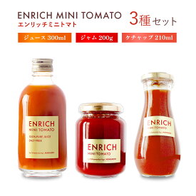 【ふるさと納税】トマトジュース 300ml ジャム 200g ケチャップ 1本 エンリッチミニトマト お取り寄せ トマト エンリッチ 野菜 ジュース 健康 栄養 GABA リコピン ふるさと納税 北海道 長万部町 長万部【070004】