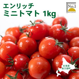 【ふるさと納税】【先行予約】エンリッチミニトマト 1kg ミニトマト お取り寄せ トマト とまと エンリッチ フルーツトマト フルーツミニトマト 野菜 ジュース 健康 栄養 GABA リコピン ふるさと納税 北海道 長万部町 長万部【070006】