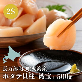 【ふるさと納税】湾宝ほたて貝柱　500g　2Sサイズ（18～20玉）【170020】
