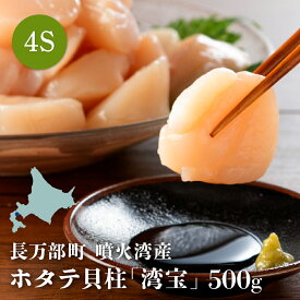 【ふるさと納税】湾宝ホタテ貝柱　500g　4Sサイズ（25～30玉）【170022】