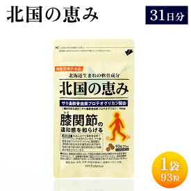 【ふるさと納税】北国の恵み1袋（93粒）31日分 | ふるさと納税 長万部町 長万部 北国の恵み プロテオグリカン 膝 サプリメント 鮭 鼻 軟骨 膝 2型コラーゲン ii型コラーゲン 膝関節痛 膝の痛み 膝痛 サプリ ヒアルロン酸 ワンストップ ウェルヴィーナス【290001】