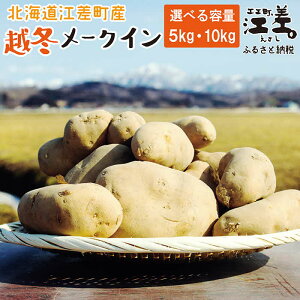 yӂ邳Ɣ[Łz_\ 2026N2菇oׁ^kCY z~[NC MEL qIׂe 5kgE10kgr@ቷn@xAbv@󂠂@z~Ⴊ@z~@悭Q