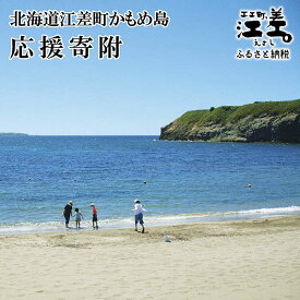 【ふるさと納税】北海道江差町かもめ島応援寄附　江差のシンボル「かもめ島」の環境保全・景観保護・にぎわい創出支援【返礼品なし】