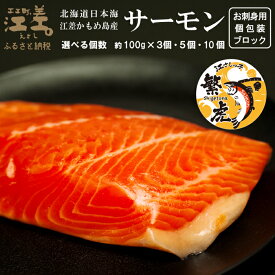 【ふるさと納税】＼配送月指定可／北海道産 サーモン お刺身用ブロック 〈容量・個数が選べる〉 100グラムパック 個包装　純国産ブランドサーモン『江さしっ子 繁虎』　生食可　小分け　トラウトサーモン　刺身　サーモンステーキ