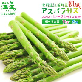 【ふるさと納税】《夏芽 順次出荷中》 2025年 北海道江差町産 アスパラガス L～2Lサイズ〈選べる容量 1kg・2kg〉 1kgあたり約20本　太い！ 甘い！ ジューシー！　朝採り　農家直送　新鮮　鮮度保持　北海道　旬野菜　グリーンアスパラ　ギフト　贈答