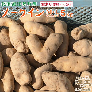 yӂ邳Ɣ[Łz_11oׁ^s󂠂tkCY [NC MEL 5kgyό`ELYz@Ƃقق@Â@kC̃[NC@kCYႪ@Ⴊo^[@