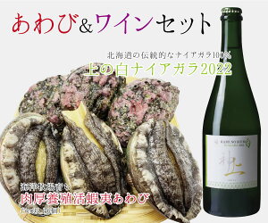 yӂ邳Ɣ[ŁzCmq炿{Bڈ΂сi7cmȏ×6jmCi[̔iCAK2022i750ml×1{j
