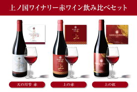 【ふるさと納税】上ノ国ワイナリーの赤ワイン飲み比べセット「天の川雫・赤＆上の赤＆上の紅」　750ml×各1本