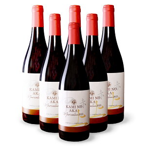 �y�ӂ邳�Ɣ[�Łz�k�C���@�k�C�� ��m�����C�i���[�@��̐ԁ@�}���Z����2023�@6�{�@���h���@�k�C�����C���@WINE�@�ƈ��݁@���j���@�������f�B�i�[�@�����@�p�[�e�B�[�@�����@�ԃ��C��