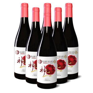 �y�ӂ邳�Ɣ[�Łz�k�C���@��m�����C�i���[�@��̐ԁ@�������[2023�@6�{ �@���h���@�k�C�����C���@WINE�@�ƈ��݁@���j���@�������f�B�i�[�@�����@�p�[�e�B�[�@�����@�ԃ��C��