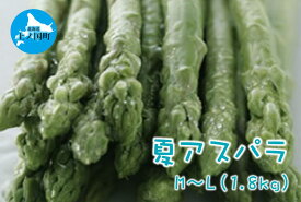 【ふるさと納税】【2026年夏発送】刀祢農園の朝採り夏アスパラ　M～L（1.8kg）　朝採れ　農家直送　新鮮　グリーンアスパラ　夏野菜　旬野菜　シャキシャキ　とれたて　北海道産